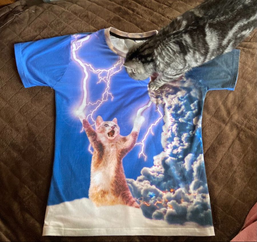 고양이 침공 티셔츠